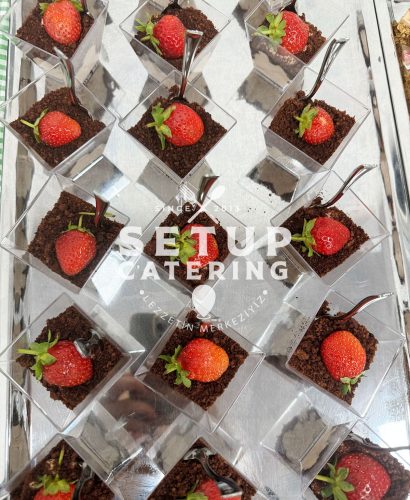 kokteyl-catering-7